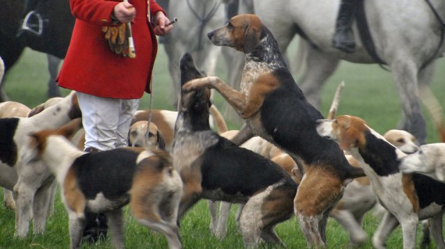 Slipjacht (zaterdag 10 december 2016)